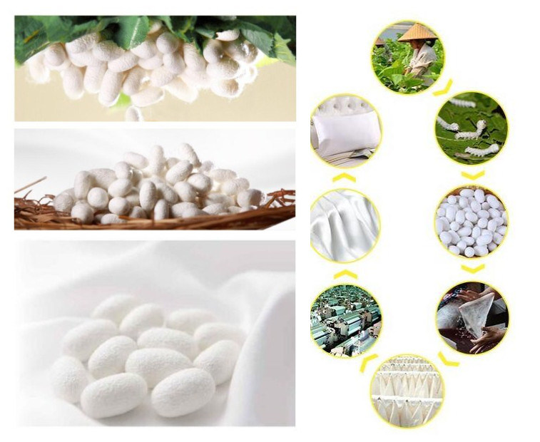 Hangzhou-Zhigeng-Silk-Co-Ltd- (37)